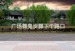 广场舞鬼步舞下个路口