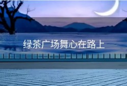 绿茶广场舞心在路上