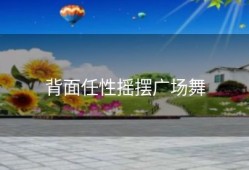 背面任性摇摆广场舞