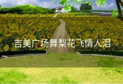 吉美广场舞梨花飞情人泪