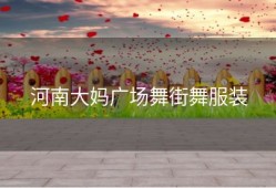 河南大妈广场舞街舞服装