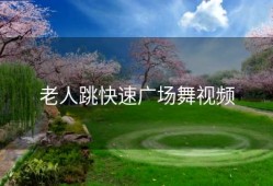 老人跳快速广场舞视频