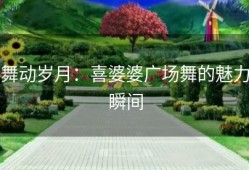 舞动岁月：喜婆婆广场舞的魅力瞬间