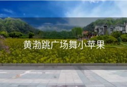 黄渤跳广场舞小苹果