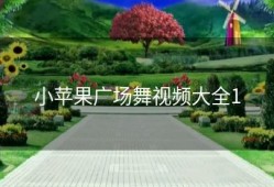 小苹果广场舞视频大全1