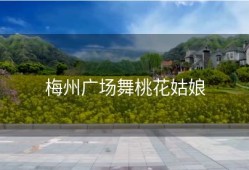 梅州广场舞桃花姑娘