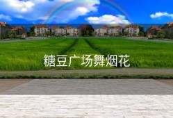 糖豆广场舞烟花