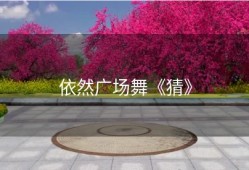 依然广场舞《猜》