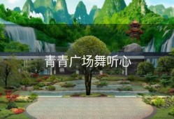 青青广场舞听心