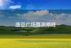 唐豆广场舞高原峰