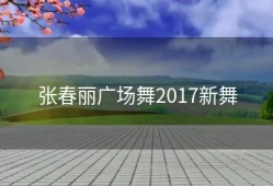 张春丽广场舞2017新舞