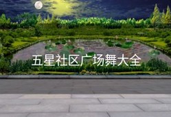 五星社区广场舞大全