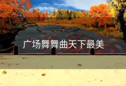 广场舞舞曲天下最美