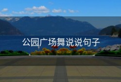 公园广场舞说说句子