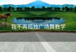 我不再孤独广场舞教学