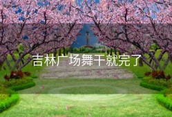 吉林广场舞干就完了