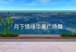 月下情缘华美广场舞