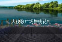 大秧歌广场舞桃花红
