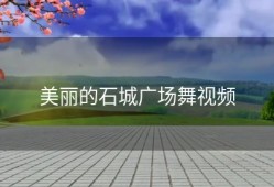 美丽的石城广场舞视频