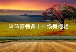 当芭蕾舞遇上广场舞视频