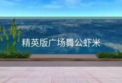 精英版广场舞公虾米