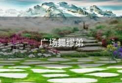 广场舞缪弟