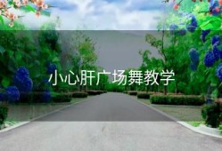 小心肝广场舞教学