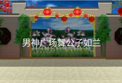 男神广场舞公子如兰