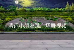 清远小朋友跳广场舞视频