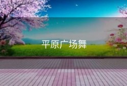 平原广场舞