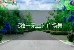 《独一无二》广场舞