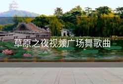 草原之夜视频广场舞歌曲