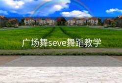 广场舞seve舞蹈教学