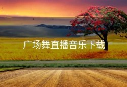 广场舞直播音乐下载
