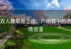 双人舞草原之夜：广场舞中的浓情浪漫