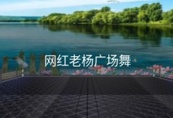 网红老杨广场舞