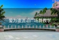 爱为谁流泪广场舞教学
