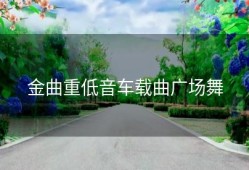 金曲重低音车载曲广场舞