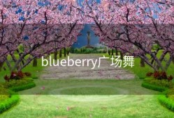 blueberry广场舞