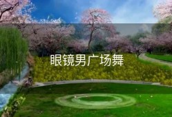 眼镜男广场舞