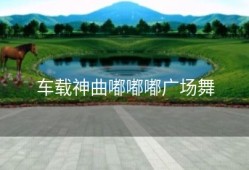 车载神曲嘟嘟嘟广场舞