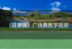 《健康操》广场舞教学视频