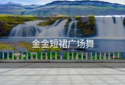 金金短裙广场舞