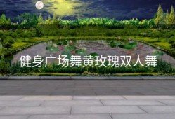 健身广场舞黄玫瑰双人舞
