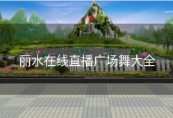 丽水在线直播广场舞大全