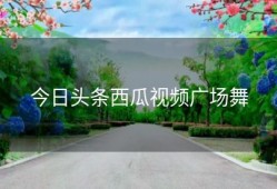 今日头条西瓜视频广场舞