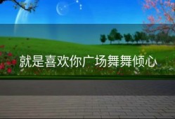 就是喜欢你广场舞舞倾心