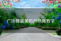 广场舞最美的开场舞教学