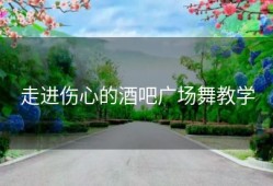 走进伤心的酒吧广场舞教学