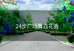 24步广场舞百花香